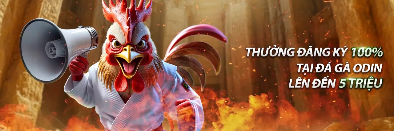 Hình ảnh chính cá cược thể thao t888 game