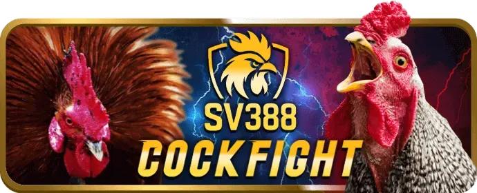Hoàn trả cược thể thao t888 game